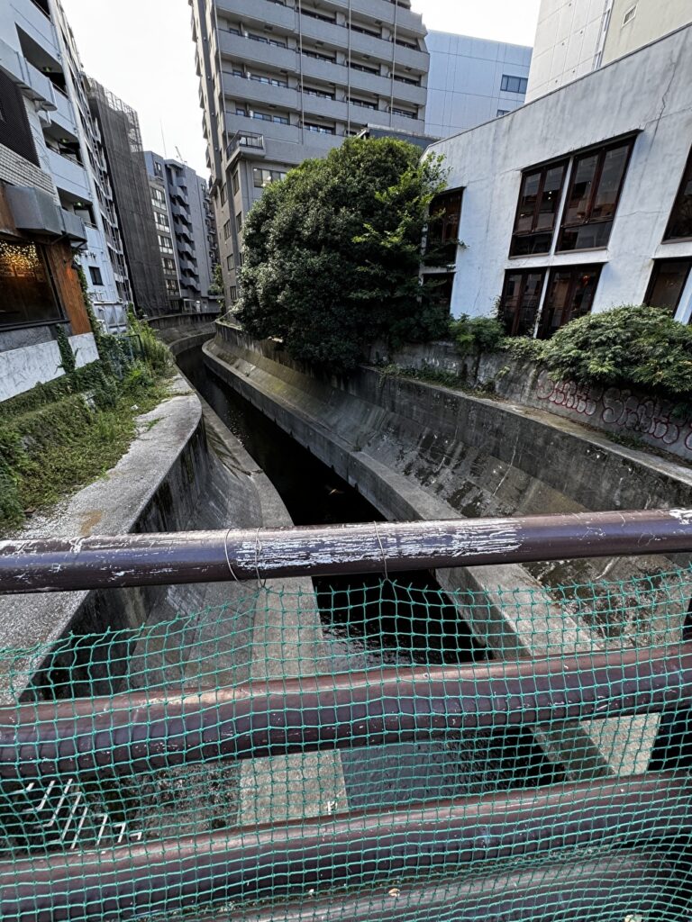 川の画像