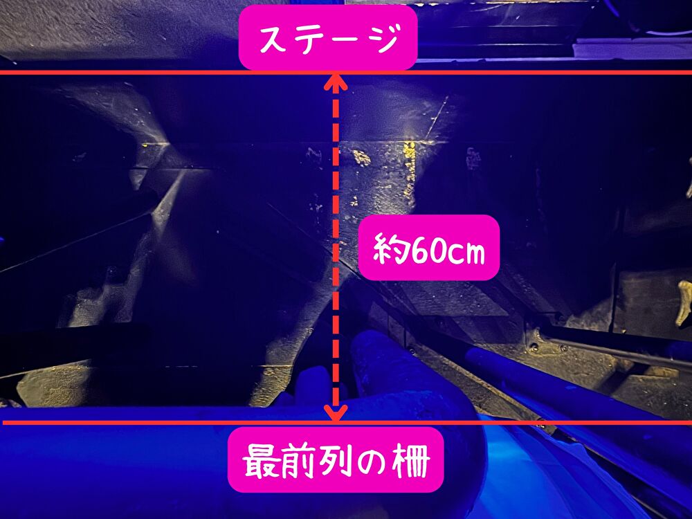 前橋ダイバー 最前列とステージの距離